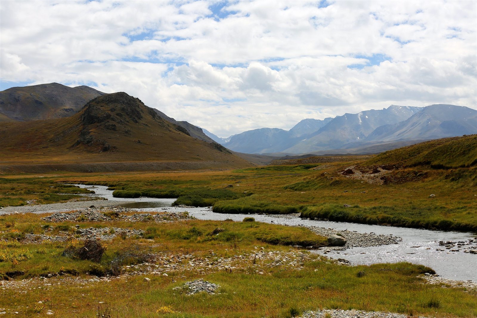 A stream winding through the open grassland of the Deosai plateau